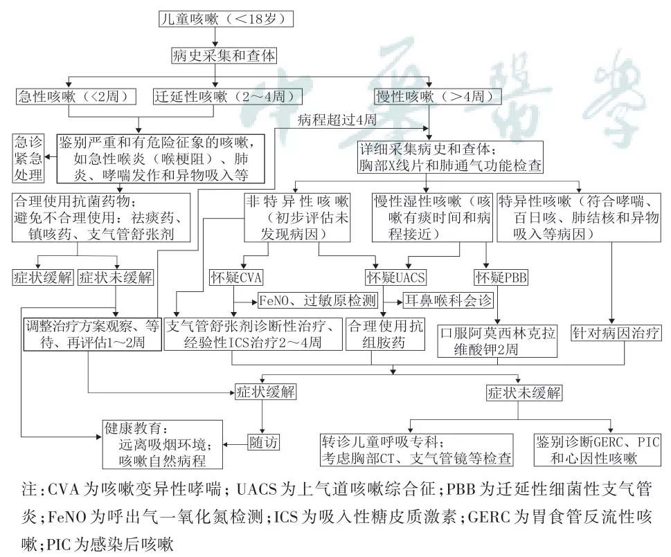 咳嗽-診療-指南-兒童-共識-肺通氣功能-檢查-咳嗽變異性哮喘-哮喘-支氣管擴(kuò)張-上氣道咳嗽綜合征-吸入性糖皮質(zhì)激素