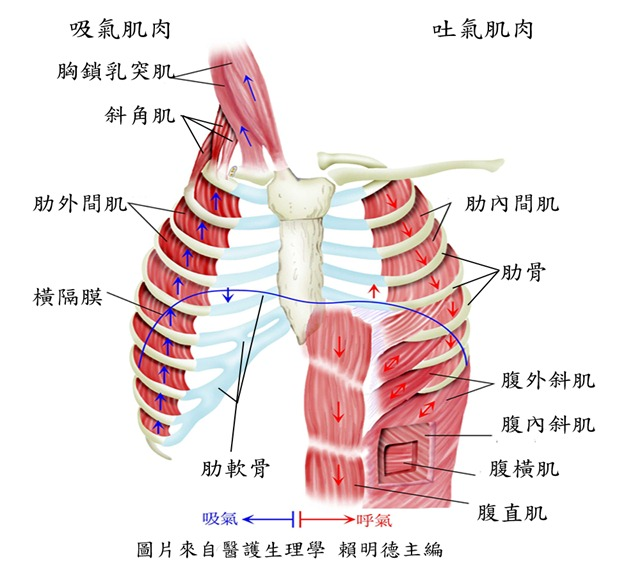 6475c0969dde51642efa9abb64913b1c.png